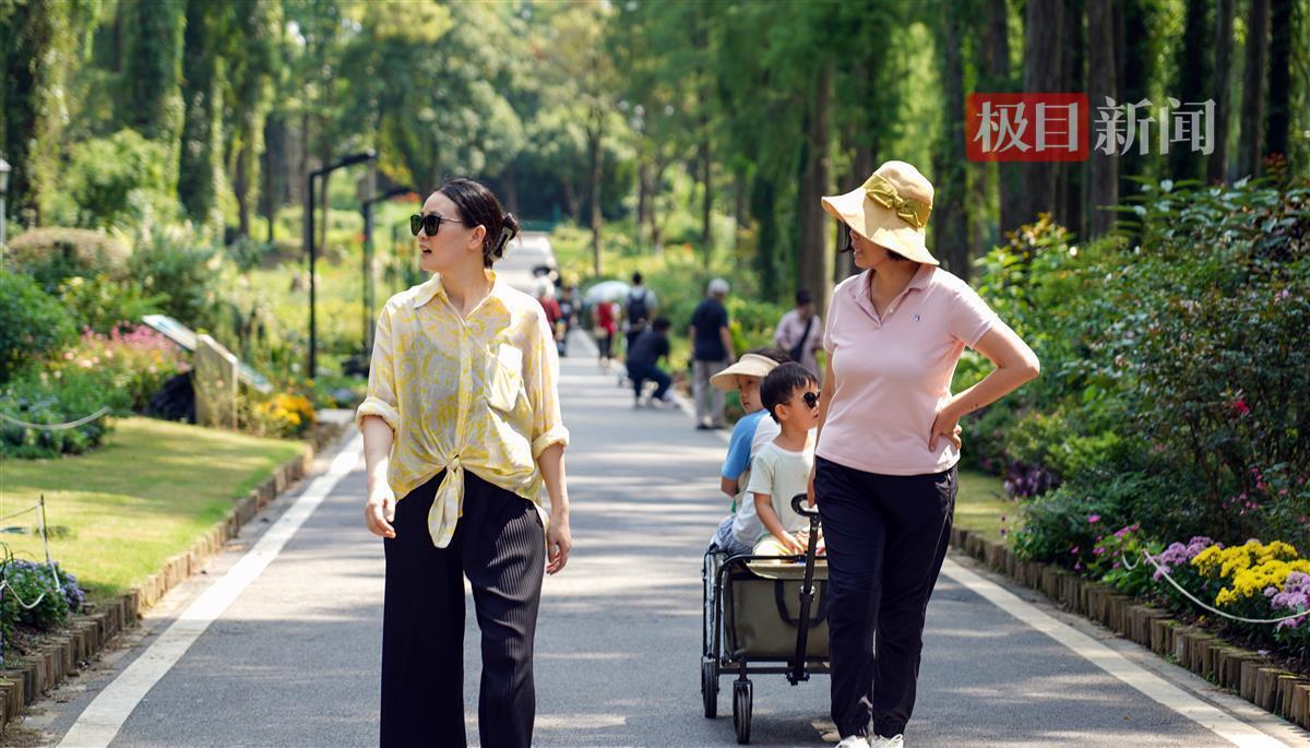 鑫乐电玩城官网